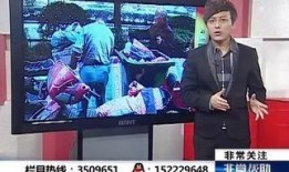 合肥电视台娱乐爆料视频,最新爆料视频大揭秘